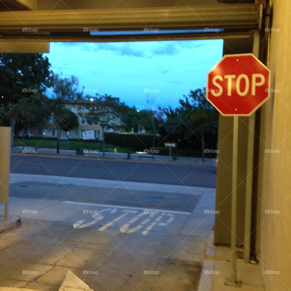 Stop Sign At The Lot


Published by:
HappyBrownMonkey 