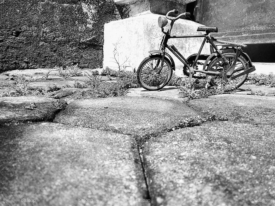 Old bicycle in the morning