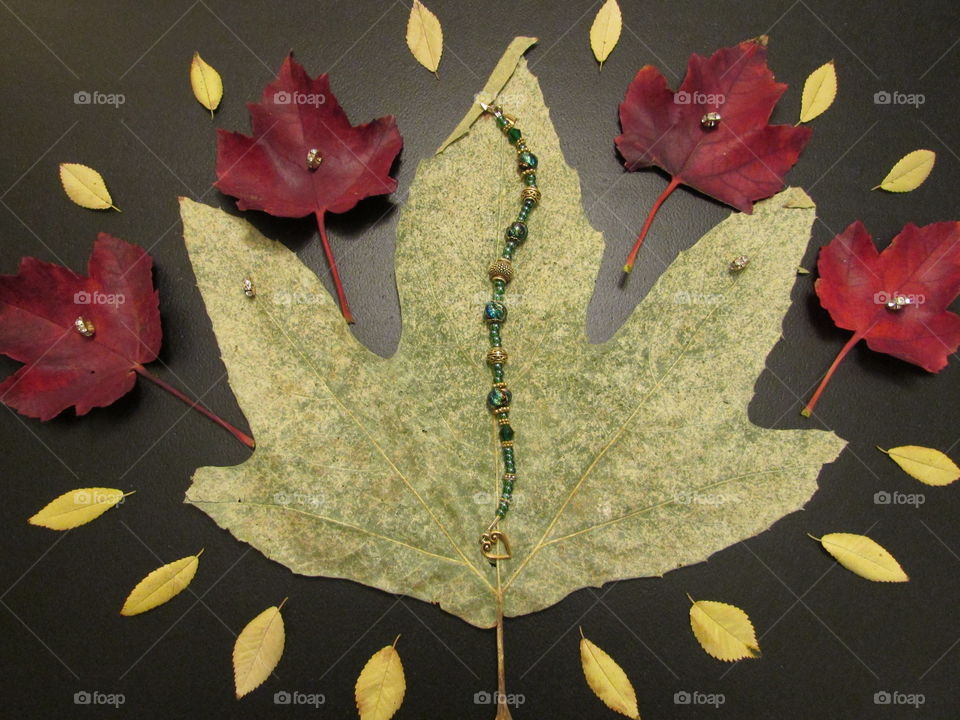 leaves/ jewelry