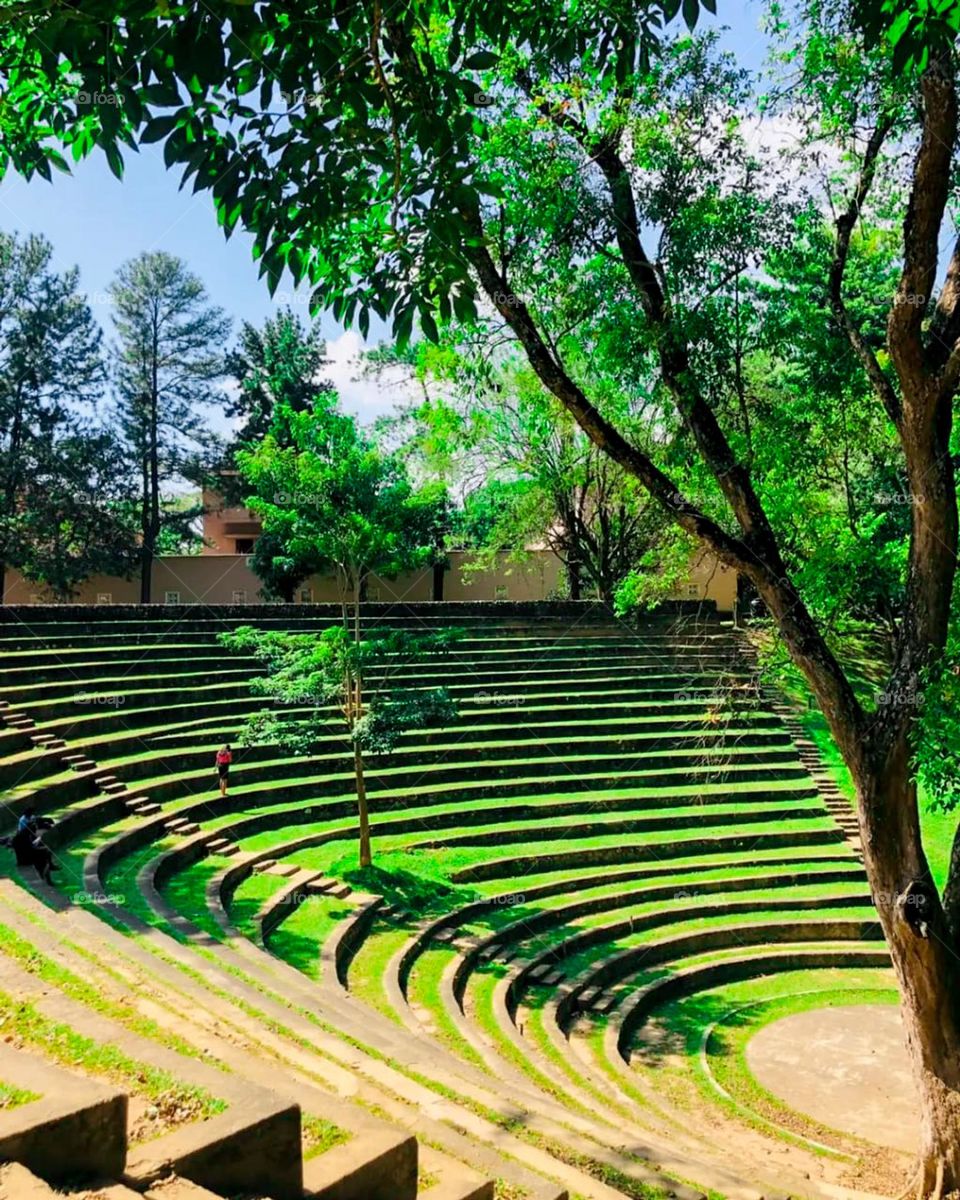 Go where you feel most alive.