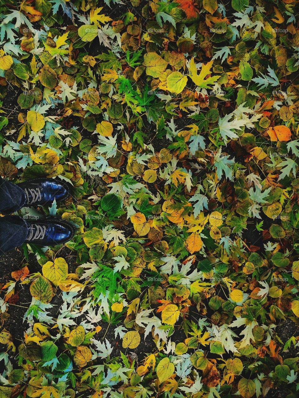 Boots on fallen autumn leaves