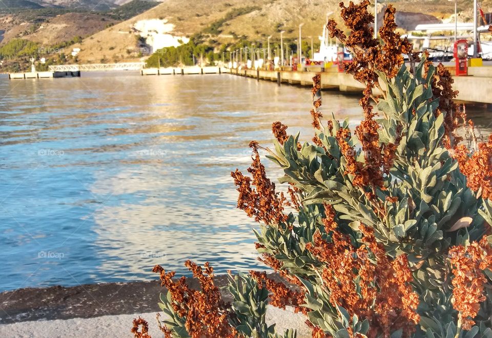 Autumn next to the sea!