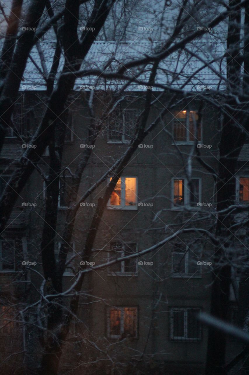 windows. winter
