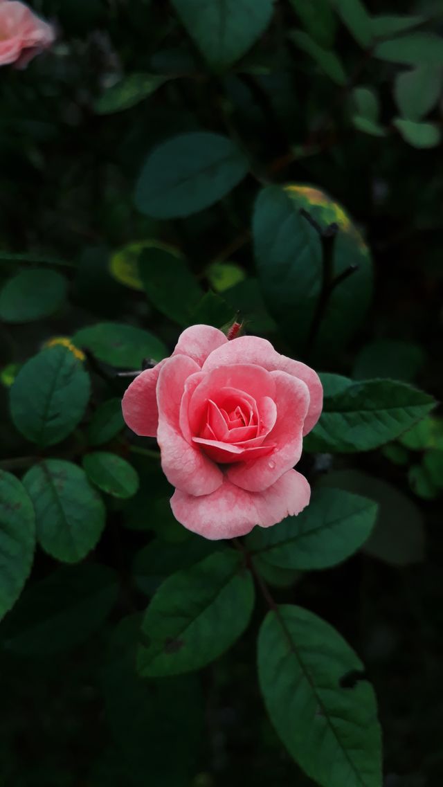 amazing nature