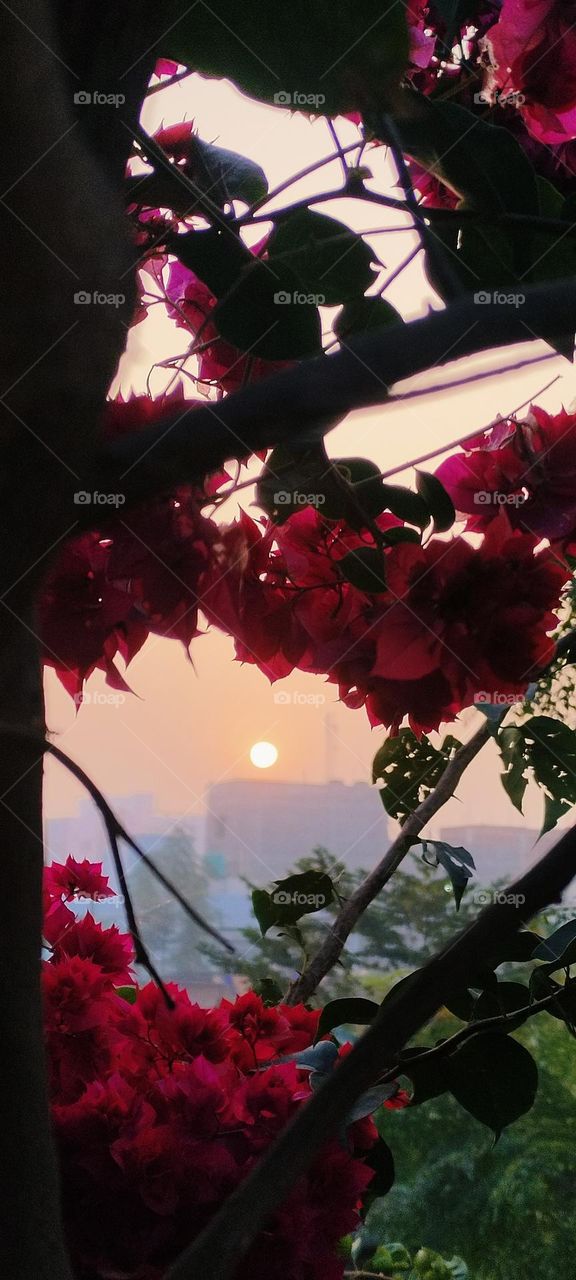 when you wake up in morning you see beautiful sunrise that brings full of hope and giving you courage and motivation to start your work with full energy with a calm mind.