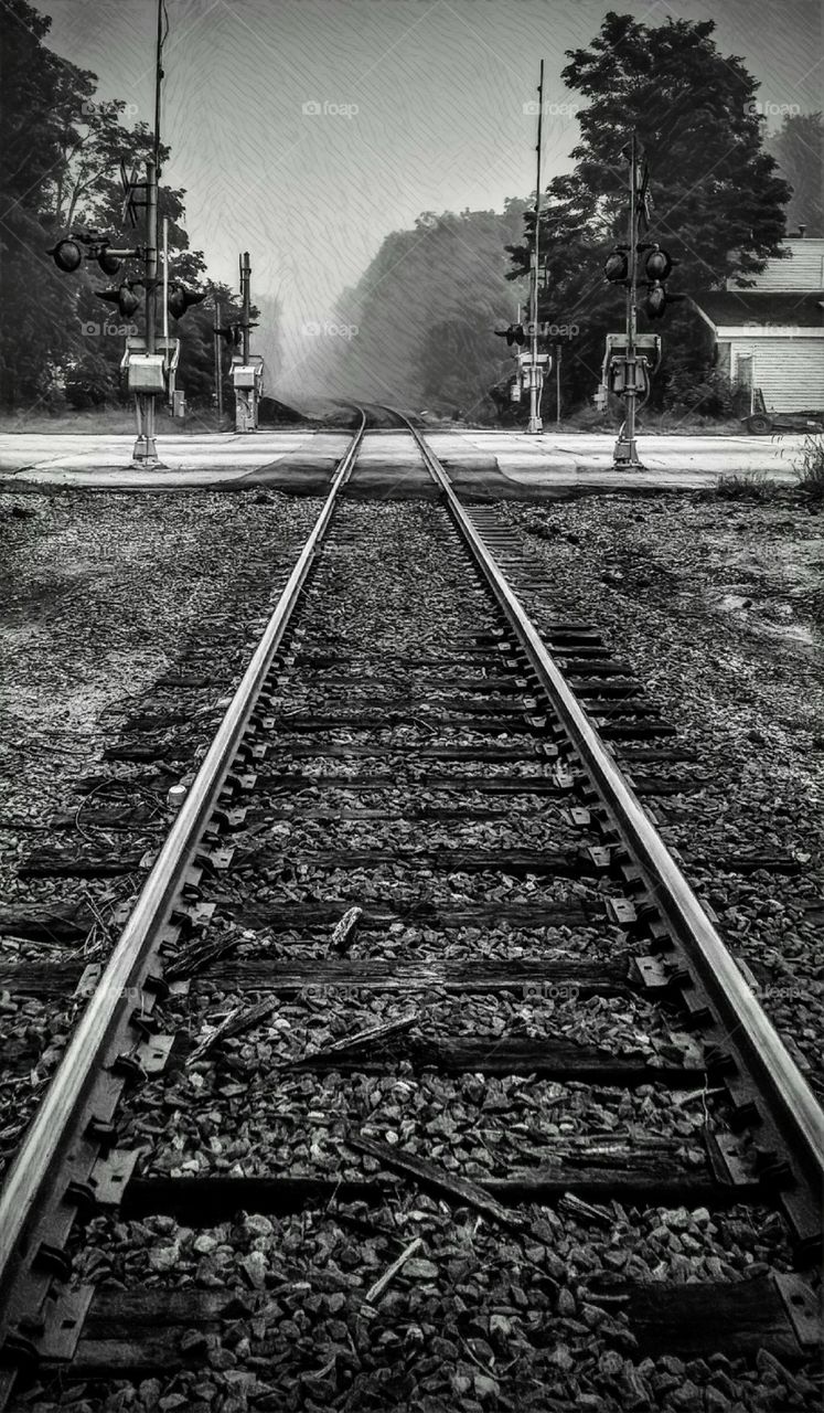 prisma train crossing