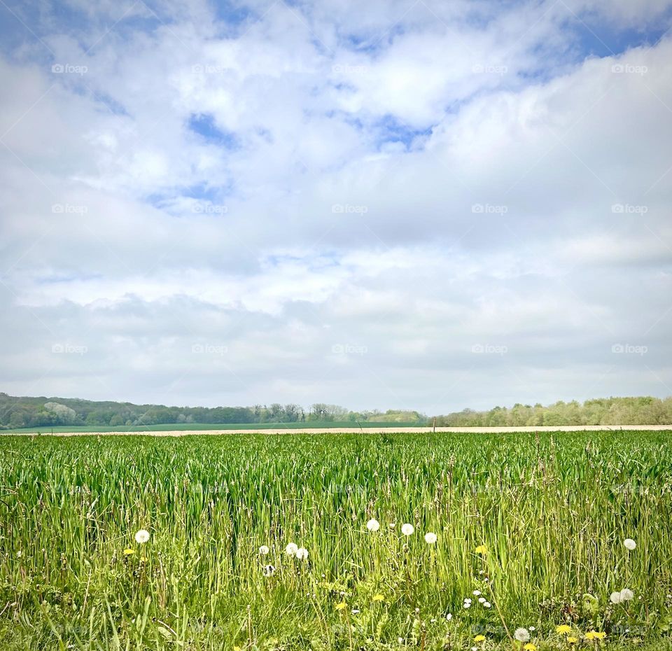 Countryside , France April 2023 . 