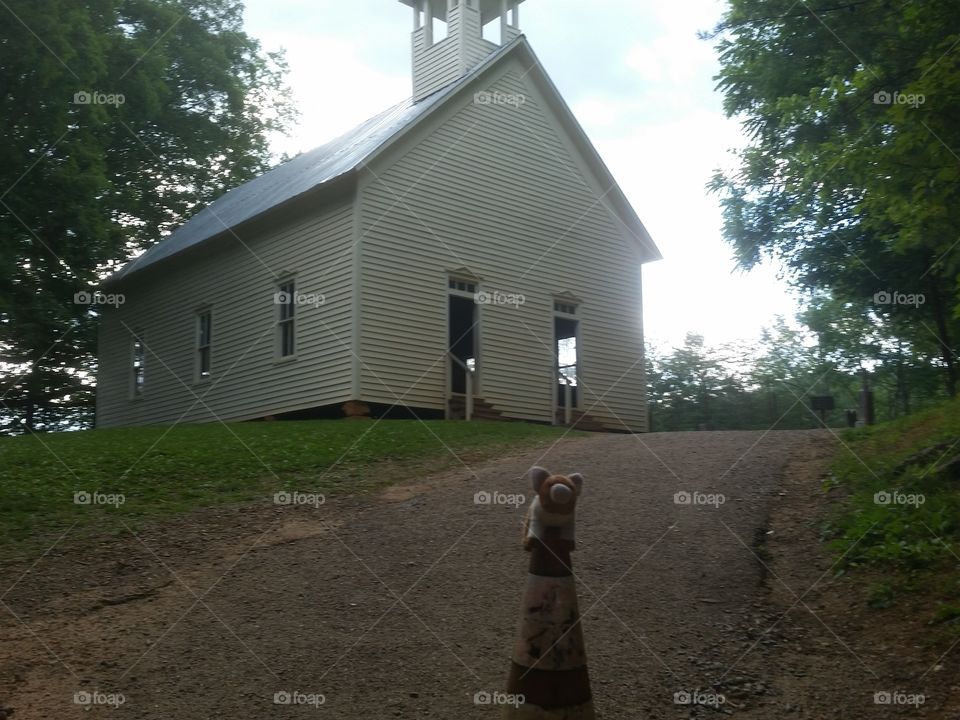Pigglett heading up to a church in Cades Cove Tennessee