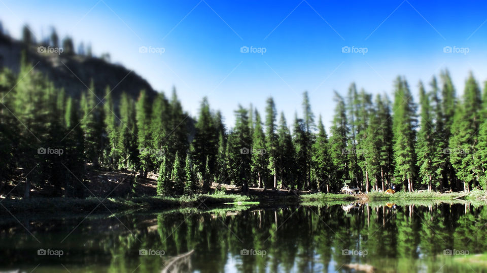 mountain trees water lake by Coastsider