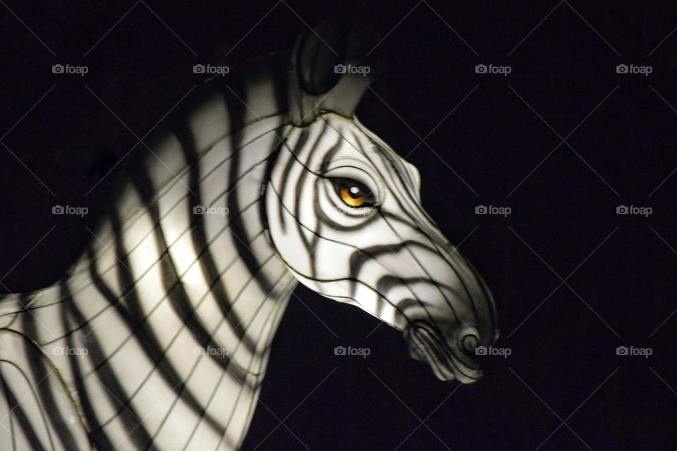 Zebra Lantern