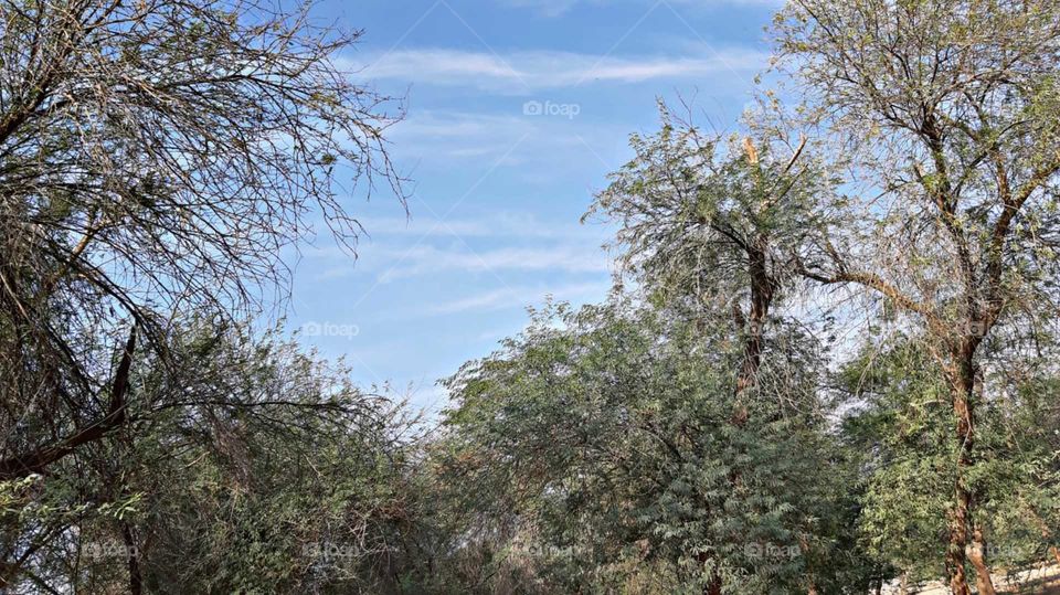 the amazing nature🥰