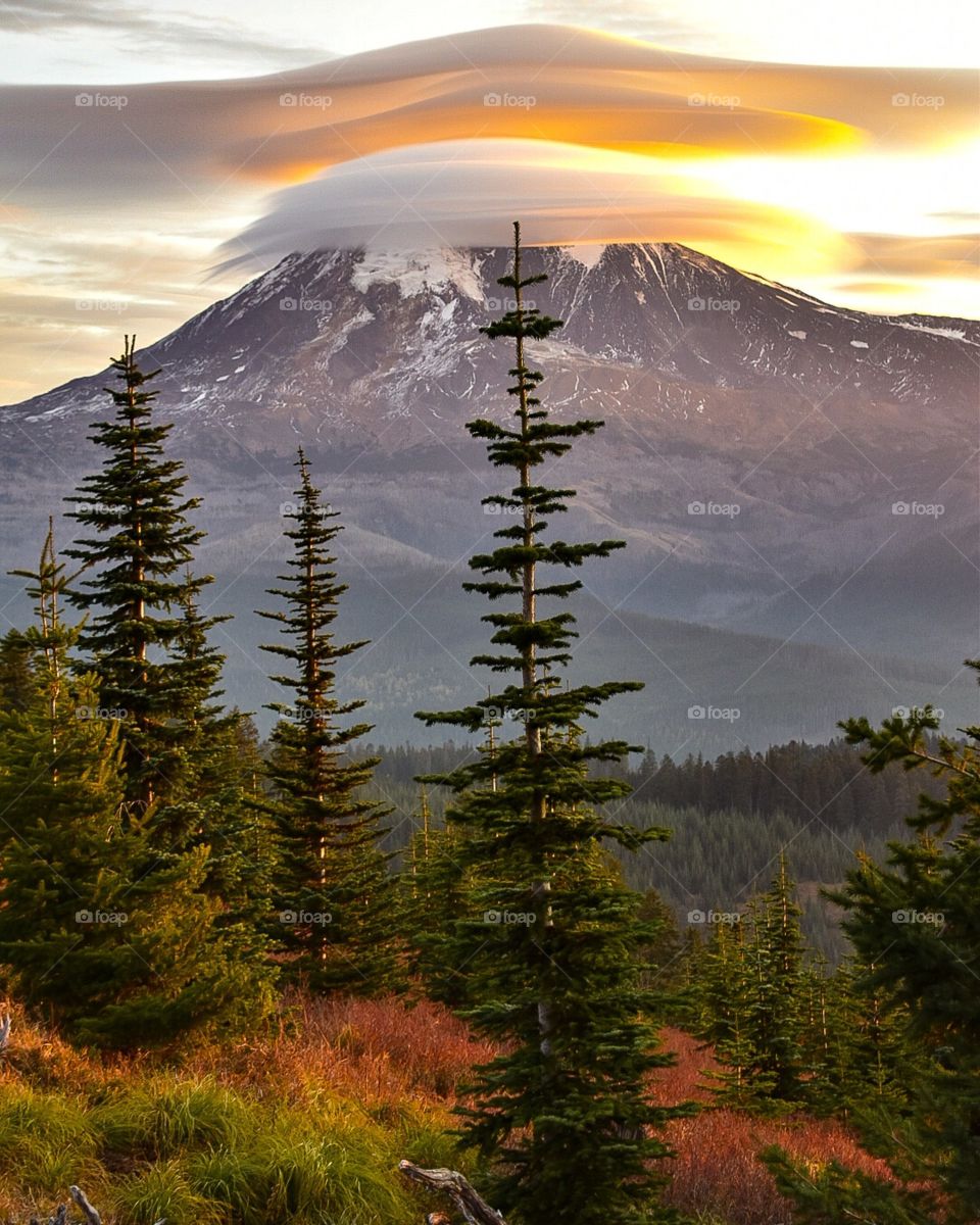 October in Gifford Pinchot National Forest Elevation 5100ft