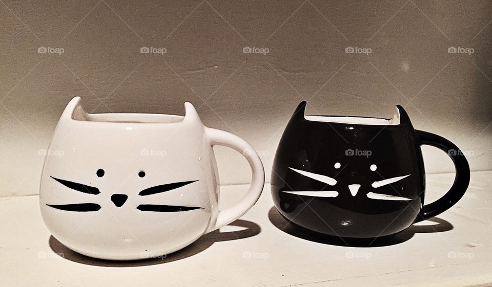 Cat cups
