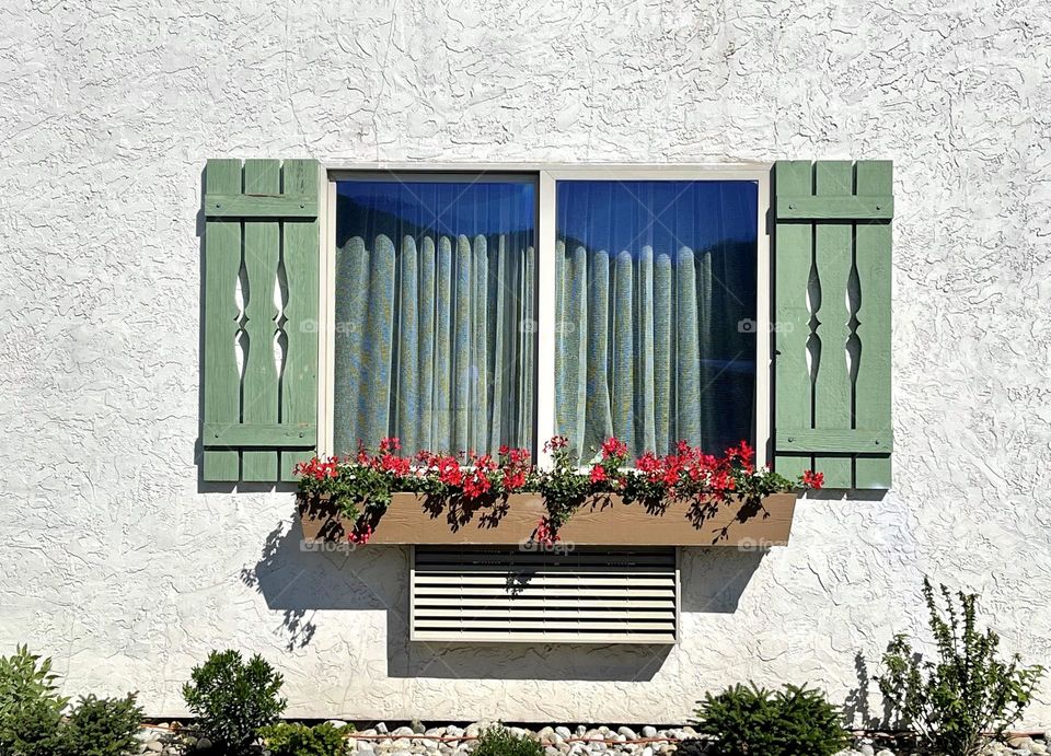 Nice window with flowers 
