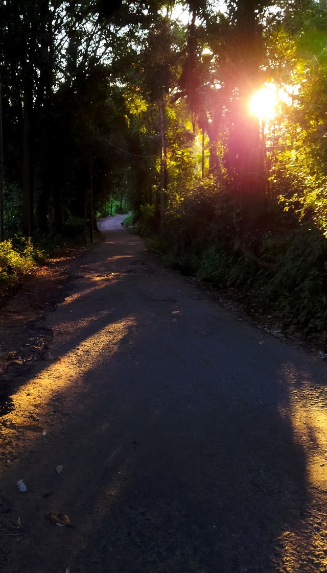 morning sun rises