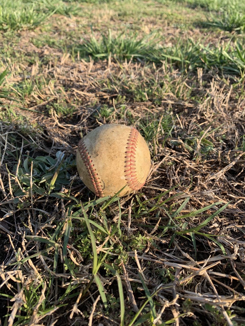 Baseball on the field