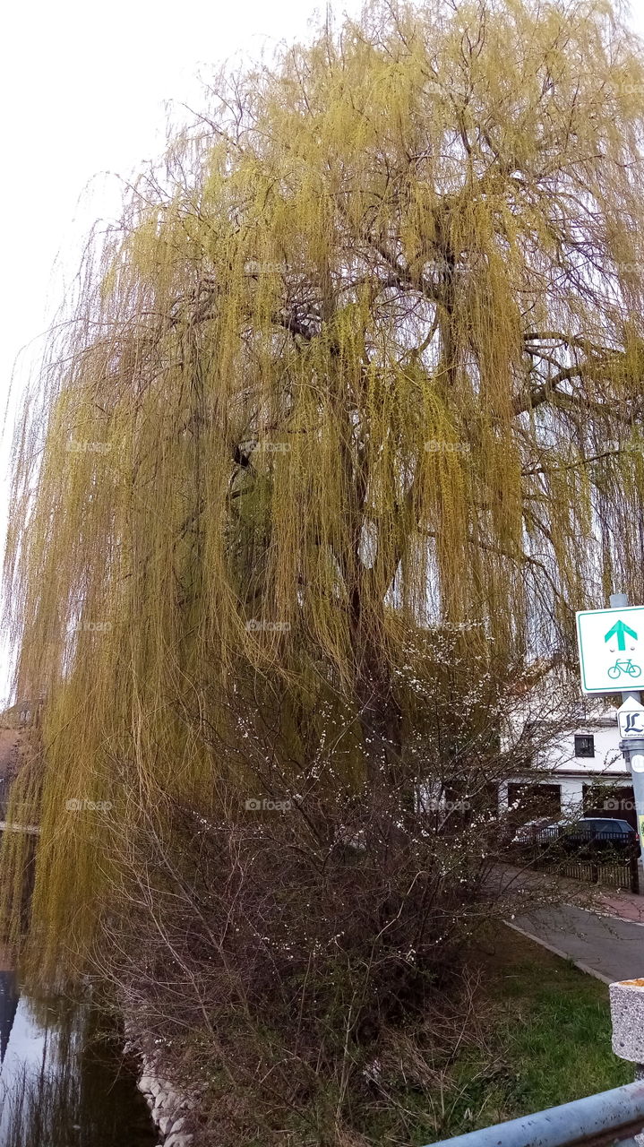 Altenburg, Frühling