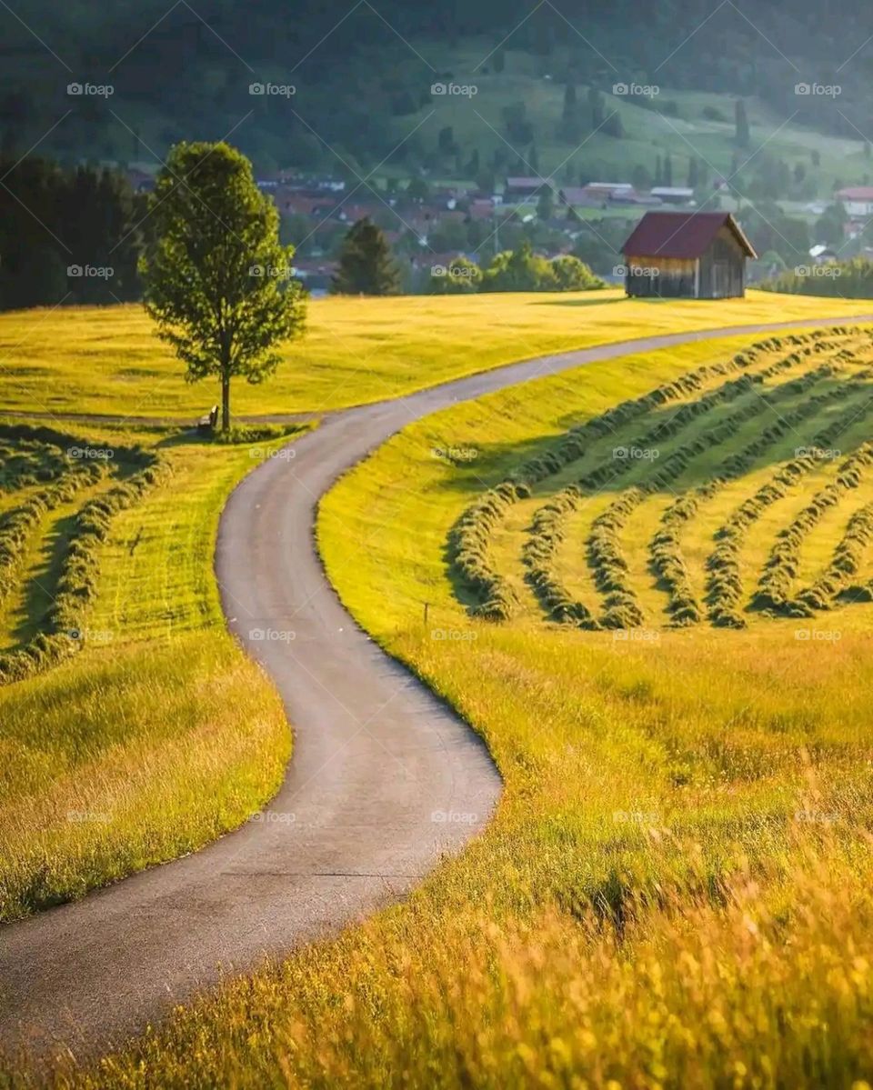 Glory be to God, the magnificent and picturesque view and the natural green trees are a view that is nothing more wonderful than it
