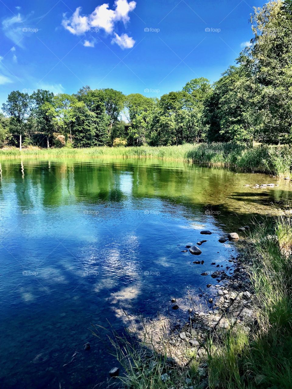 Beautiful and peaceful day of summer