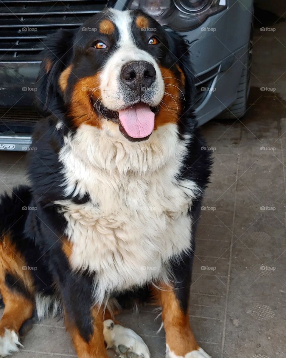 She wants to help with the car cleaning