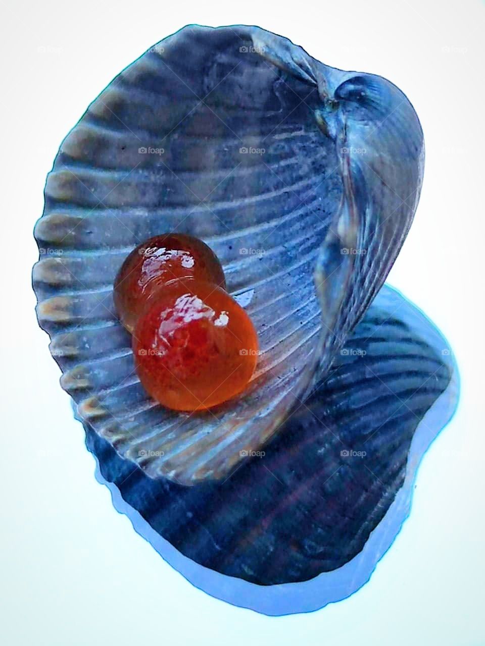 Red caviar. Red caviar on a gray sea shell
