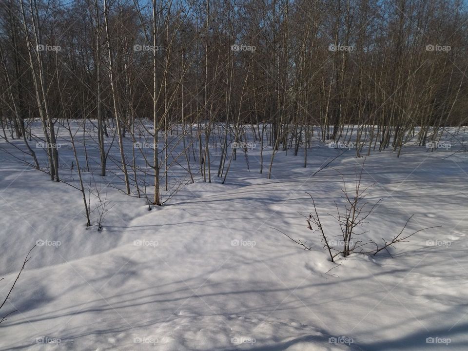 красивая зима