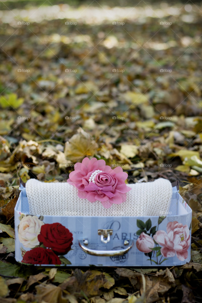 rose headband in suitcase. rose headband with pearls in vintage suitcase in park