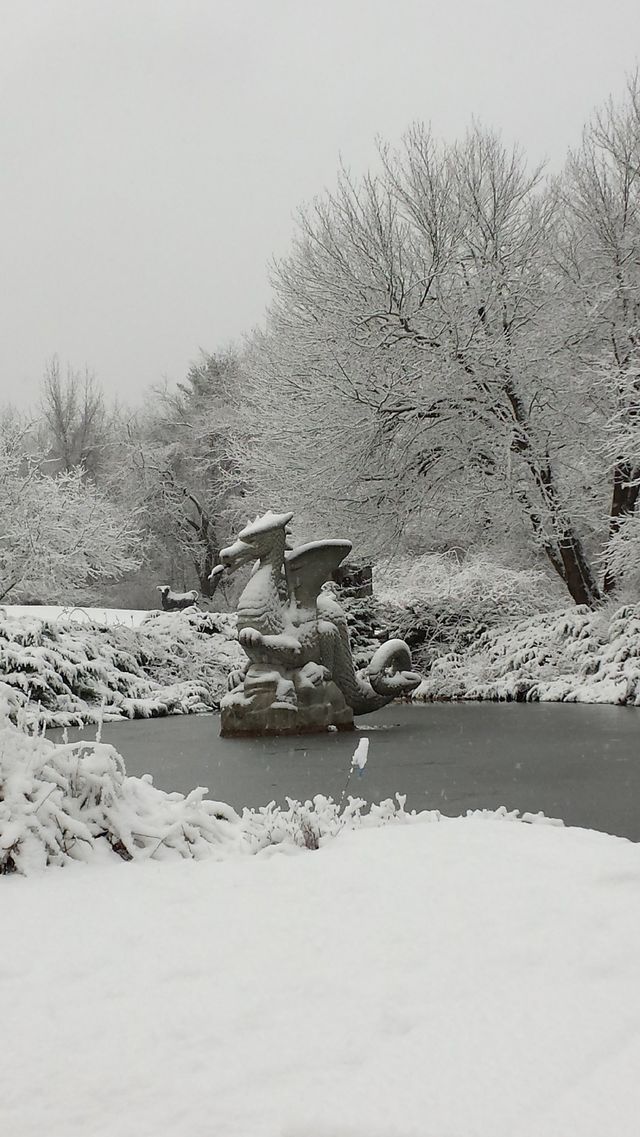 Ice Dragon