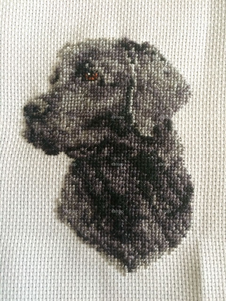 Cross stitch I have just finished for my Dad's birthday. We have a black Labrador called Shadow 