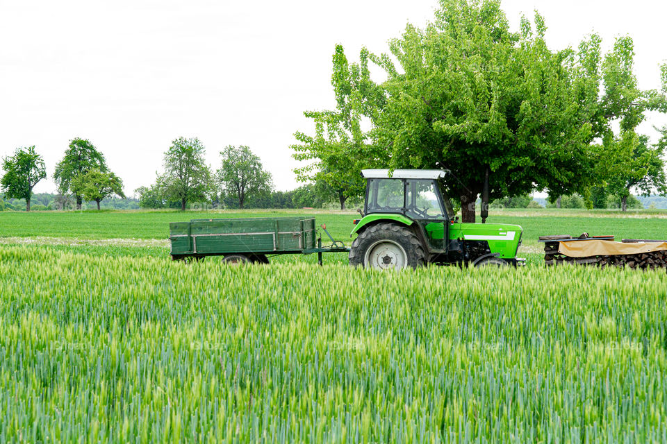 green tractor and a wheat field