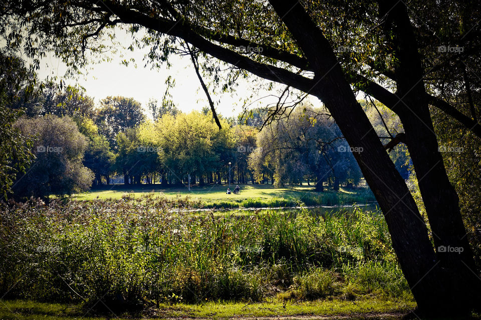 In an autumn idyll