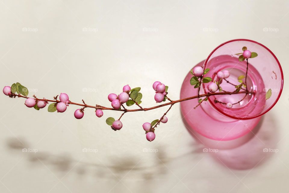 Flower in pink vase