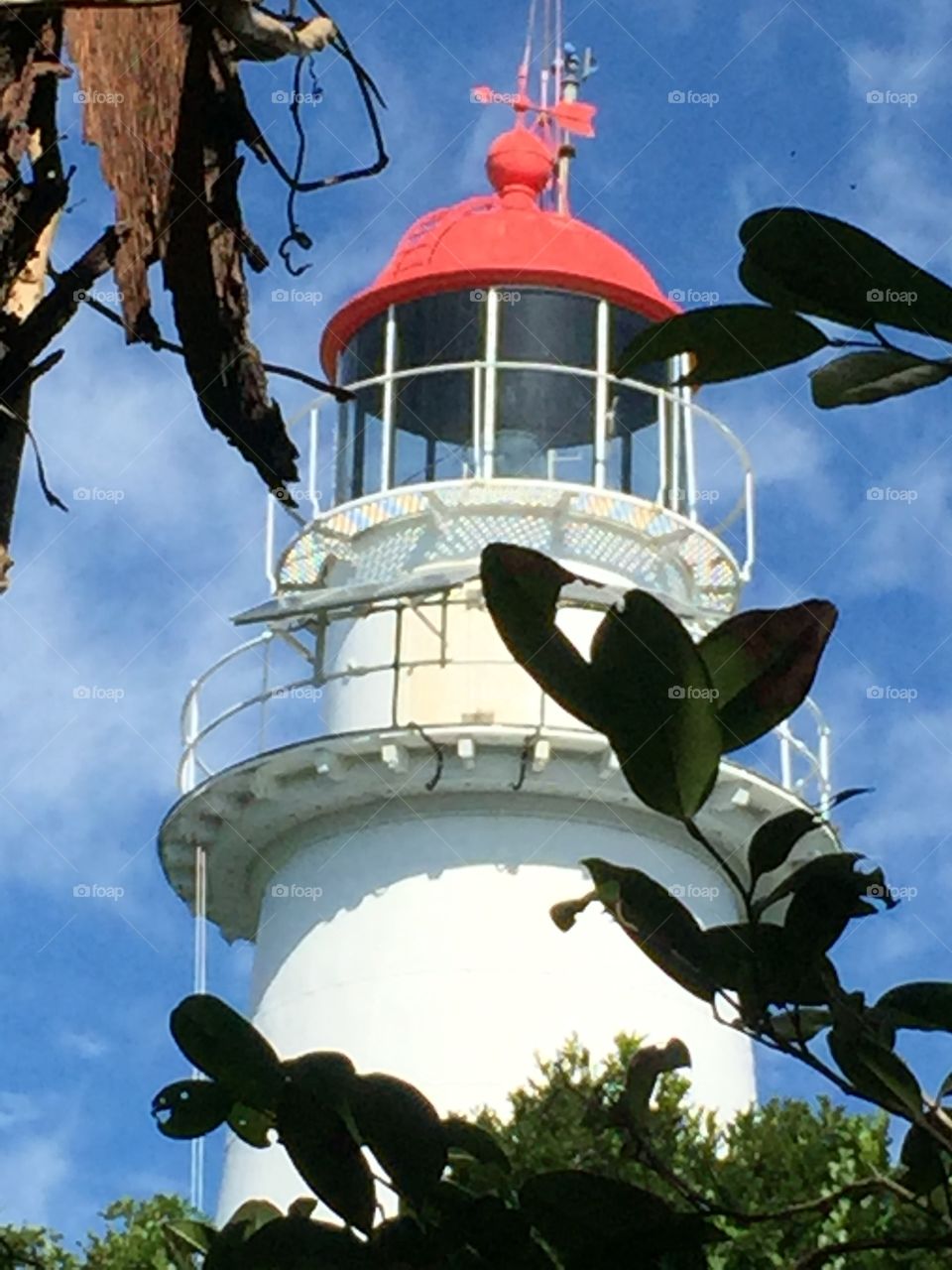 Top of the lighthouse Low Isles Port Douglas North Queensland 