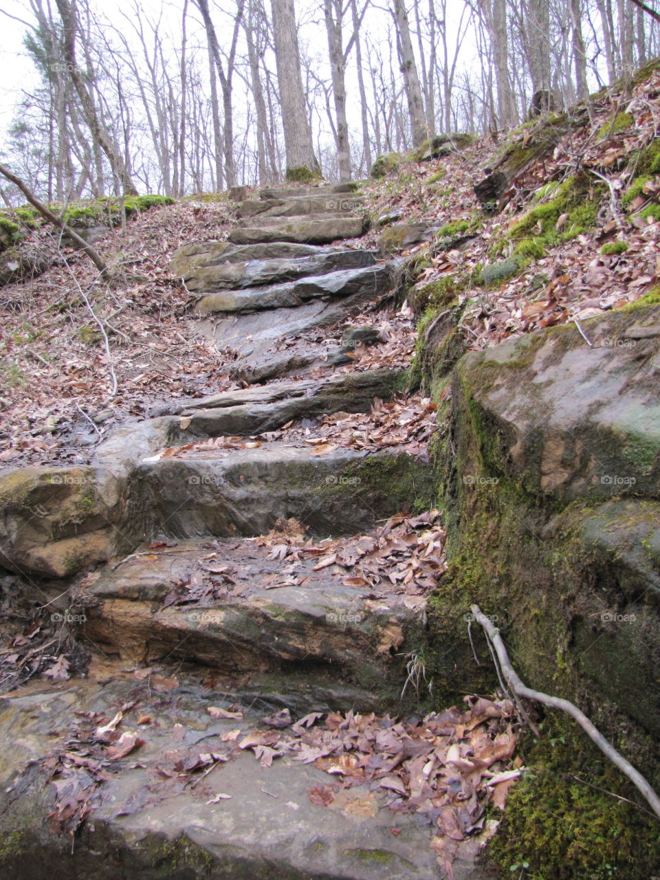 Sandstone Steps