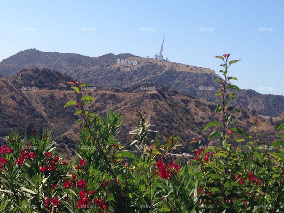Hollywood Griffiths Observatory