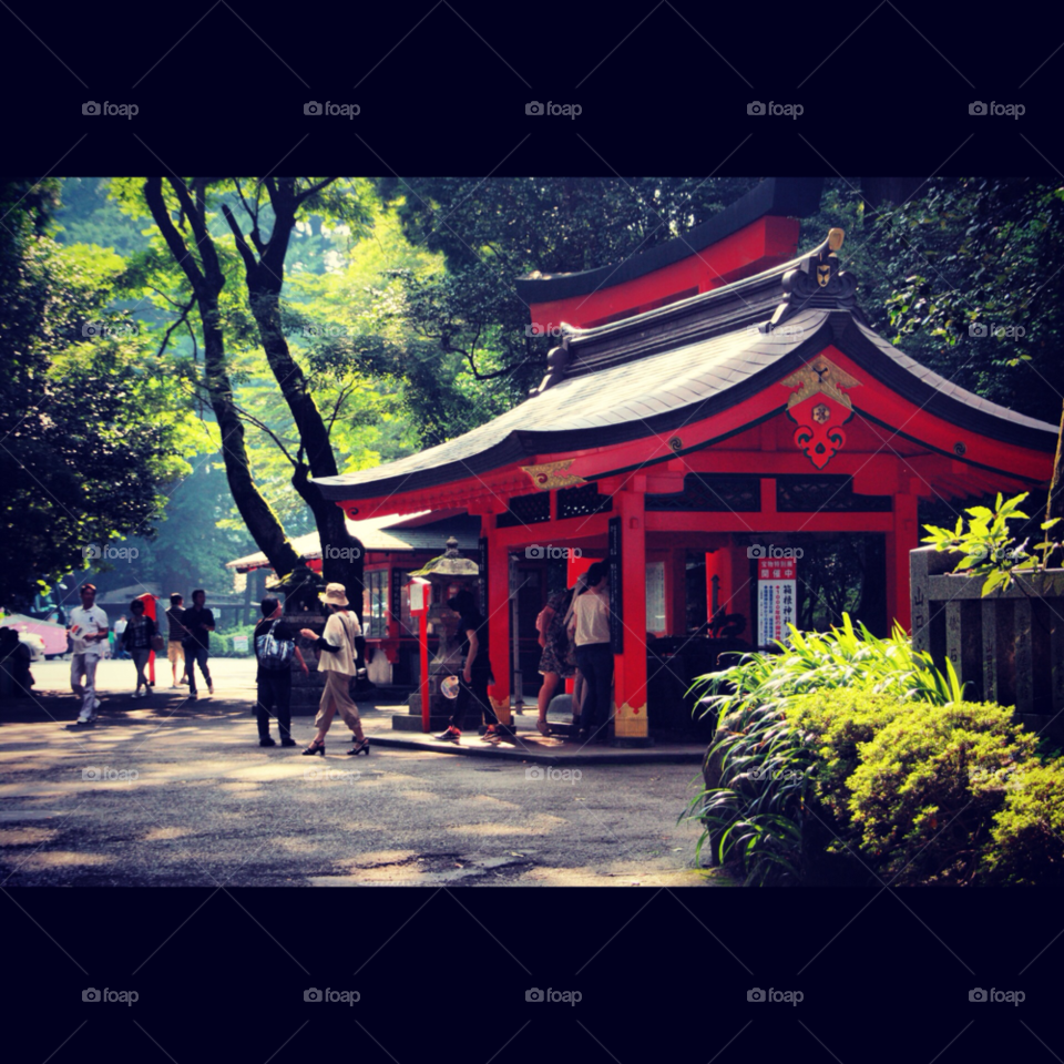 tree temple japan by KengPP