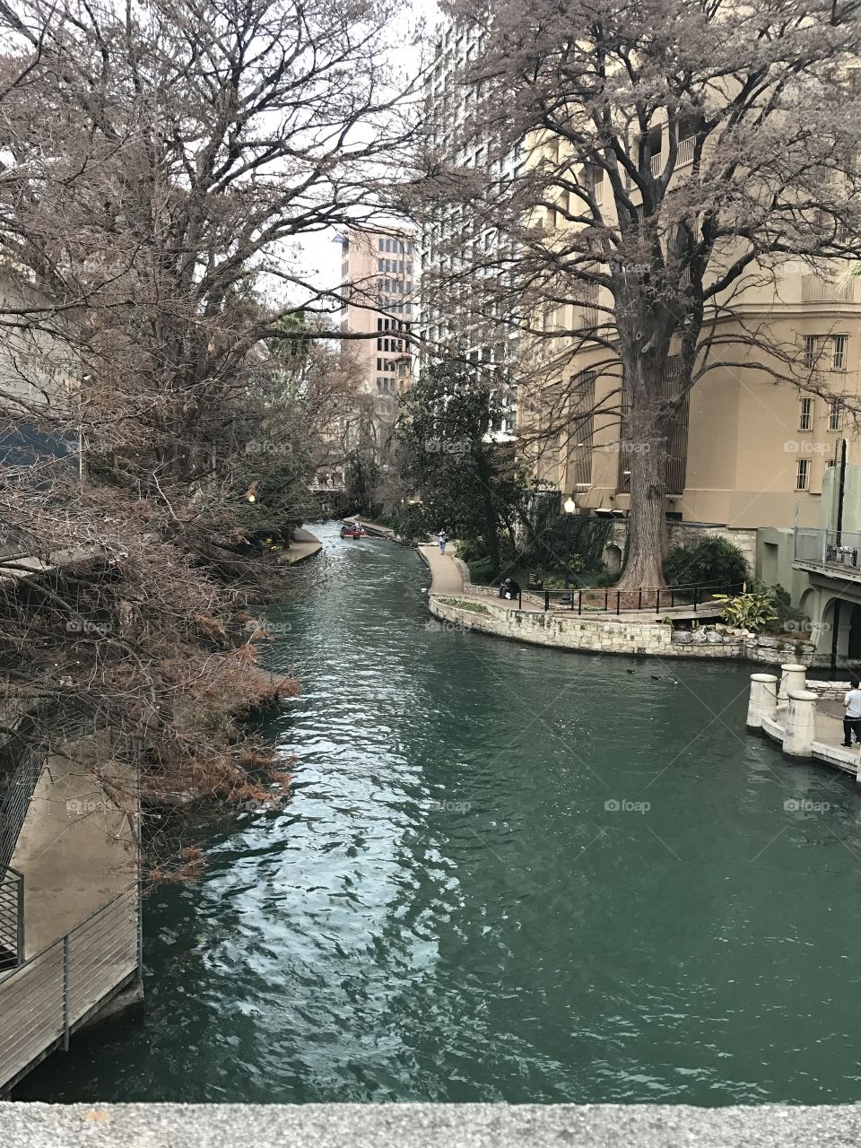 Water, Tree, Architecture, City, Winter