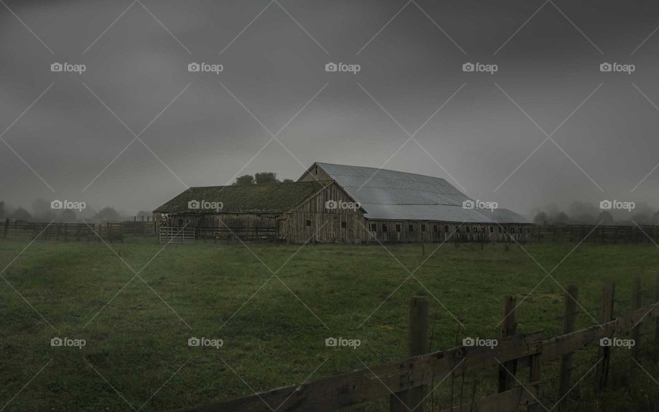 Wooden barn on field during foggy weather