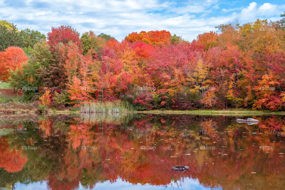 Autumn In Connecticut 