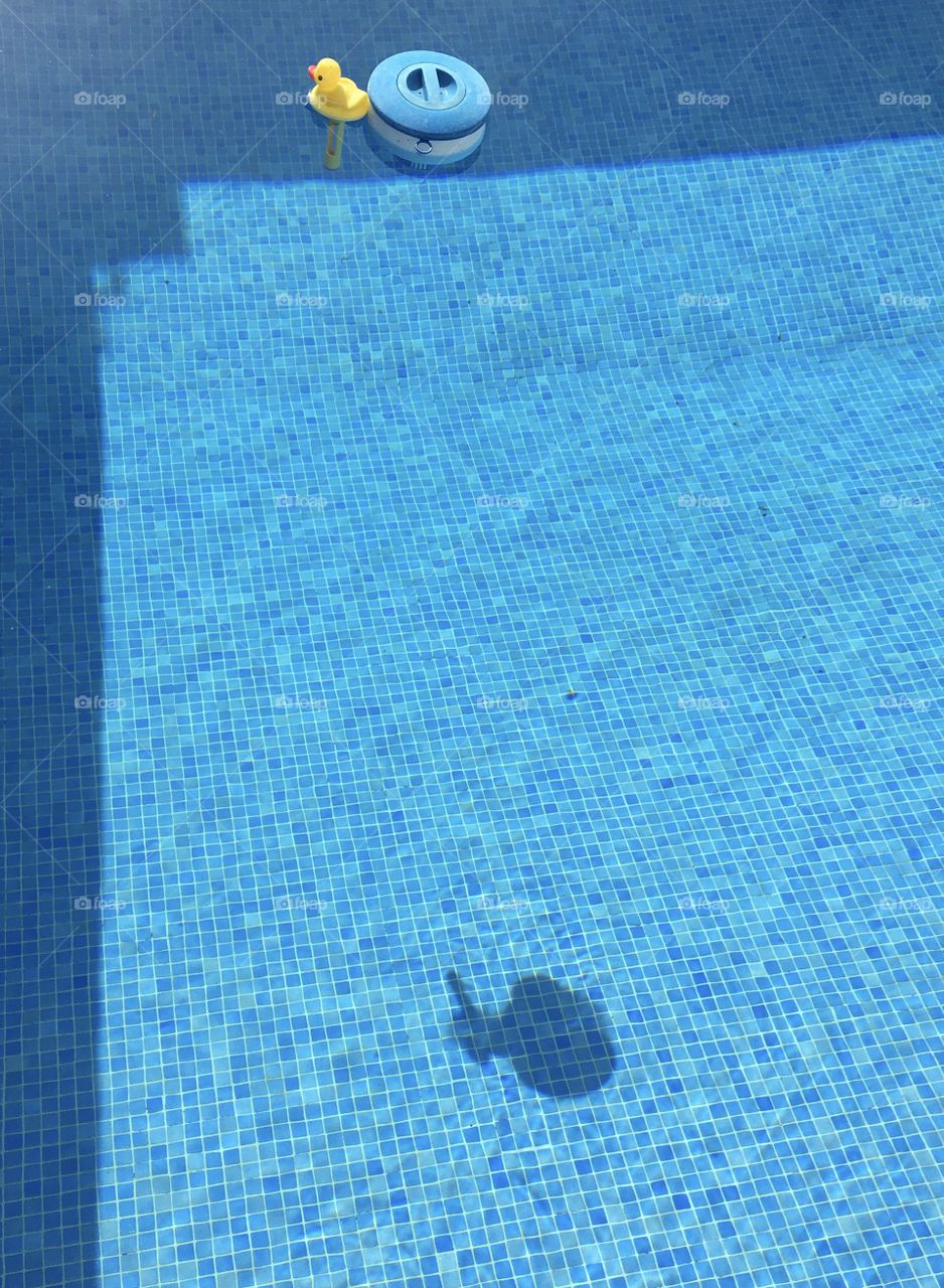 Gaming with duck’s shadow 