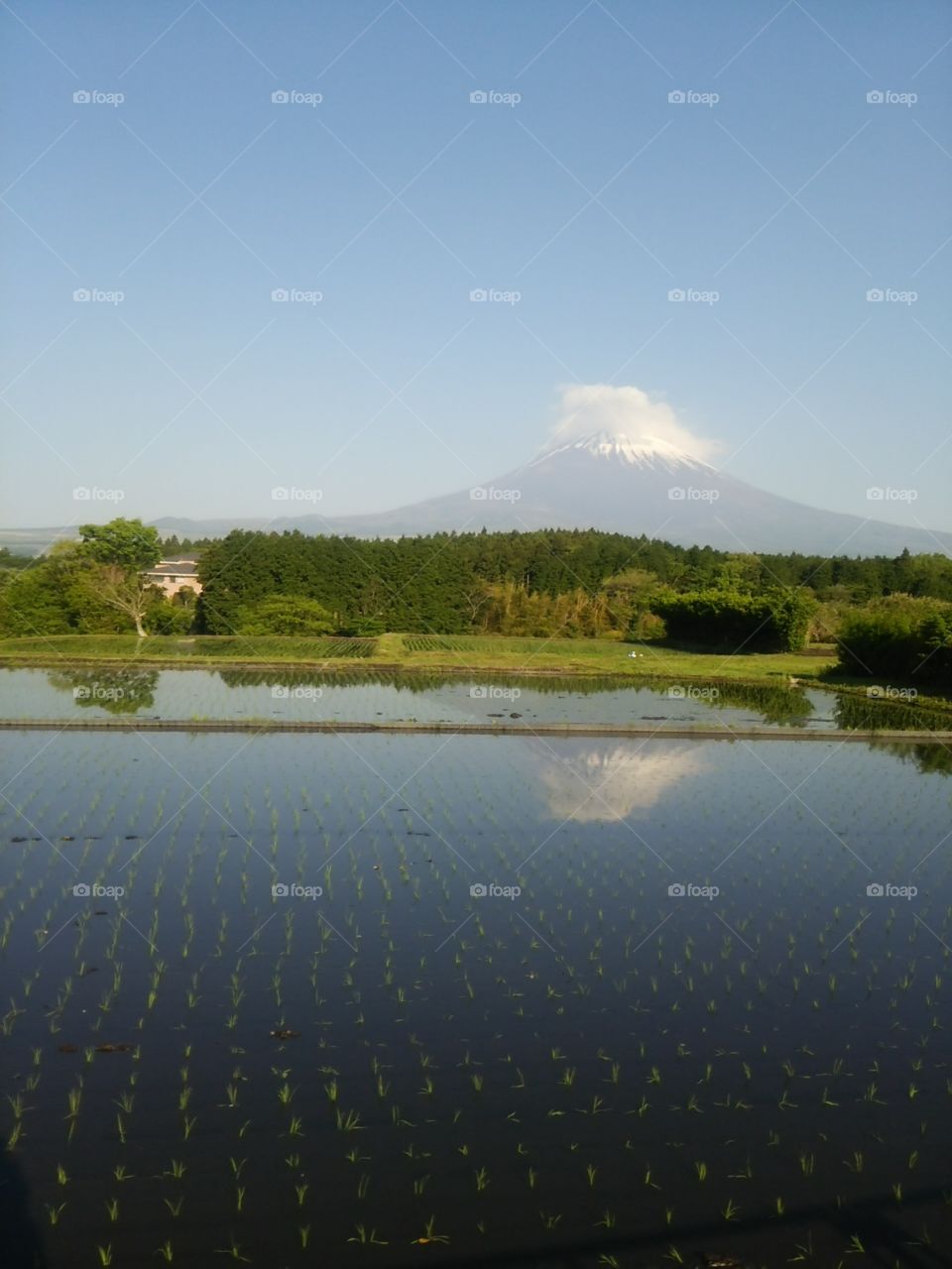 MT.Fuji in the TANBO