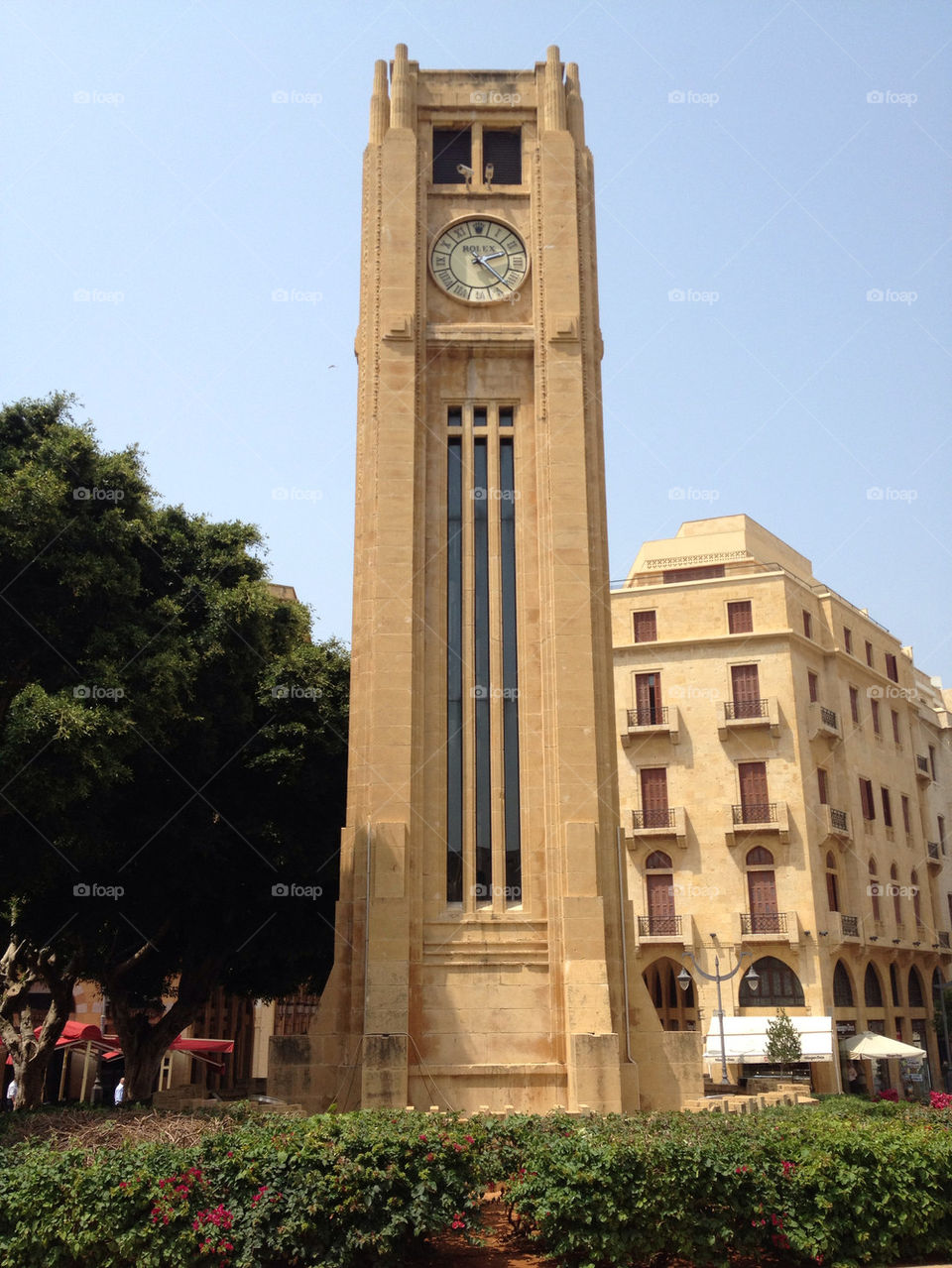 plants travel summer construction by twister