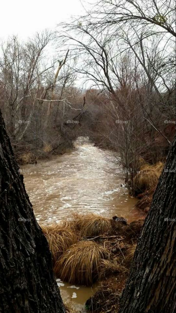 Wet Beaver Creek, Arizona.