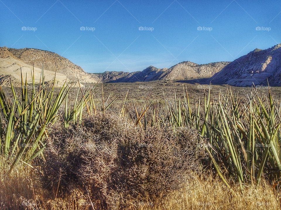Scenic view mountain against sky
