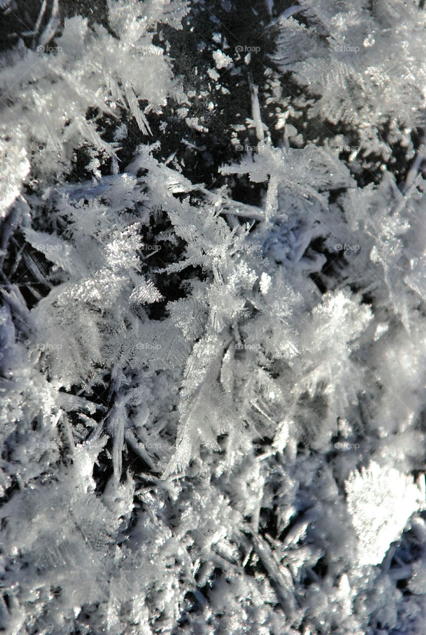 Snowflakes on ice