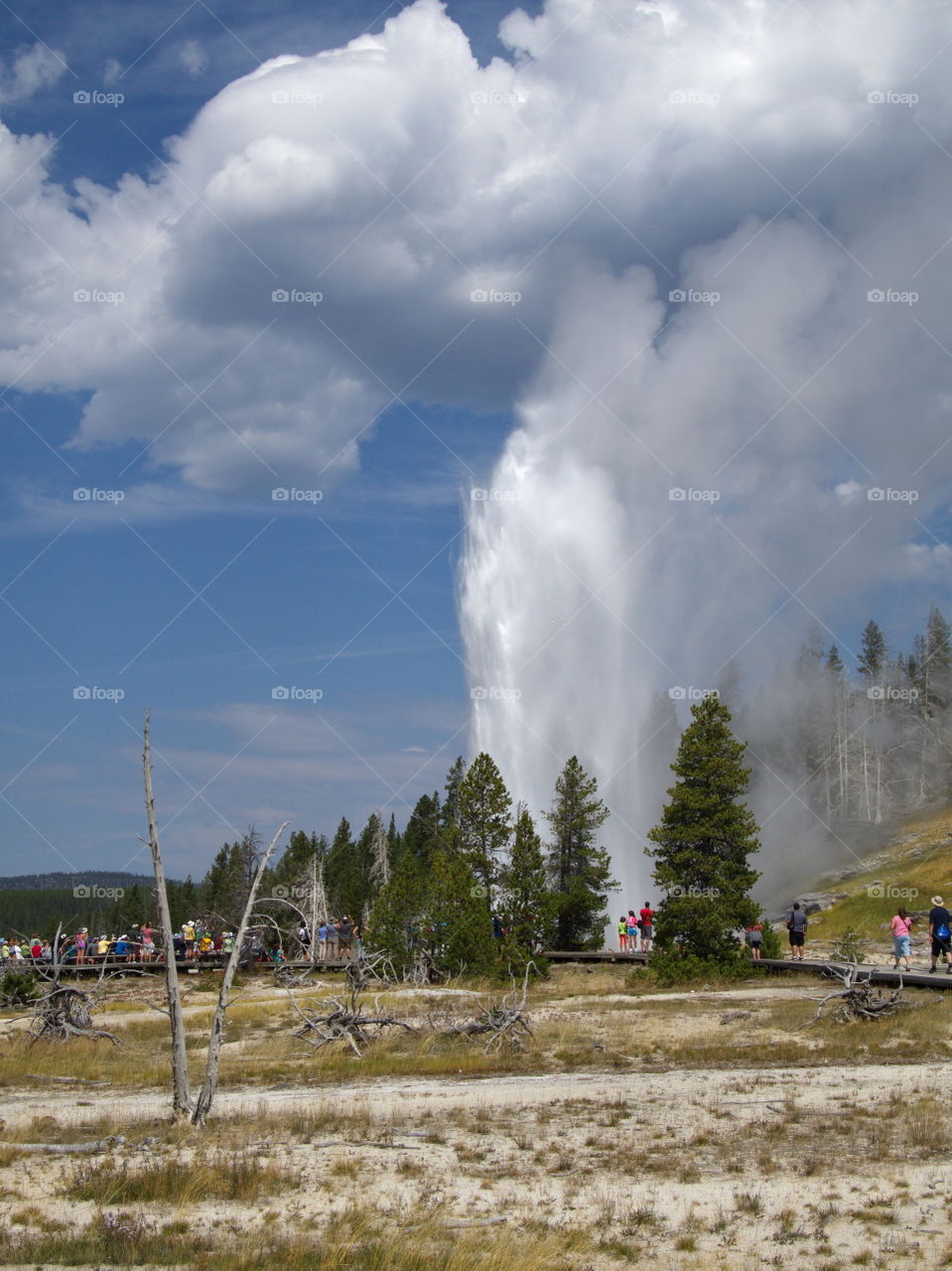 Stunning geology in the unique landscape of Geyser Hill in Yellowstone National Park on a sunny summer day. 