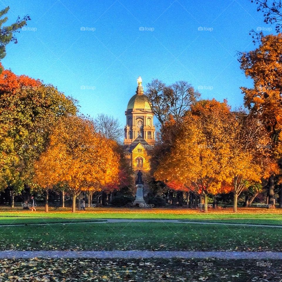 Fall at the University of Notre Dame.