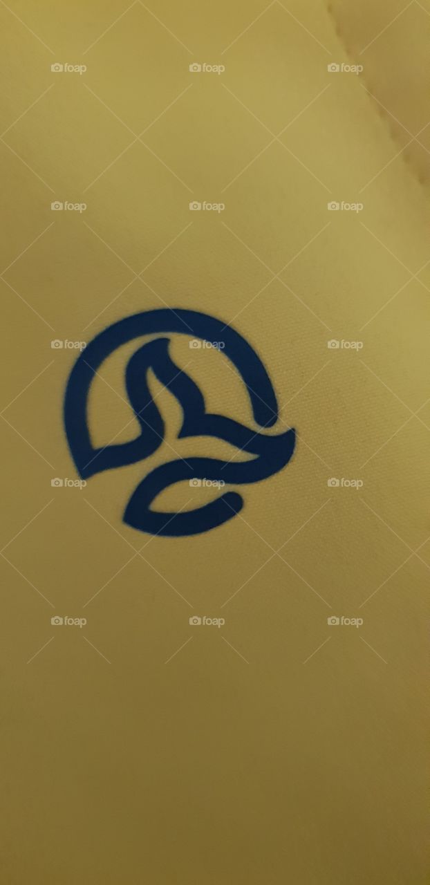 un lujo en deporte Ternua