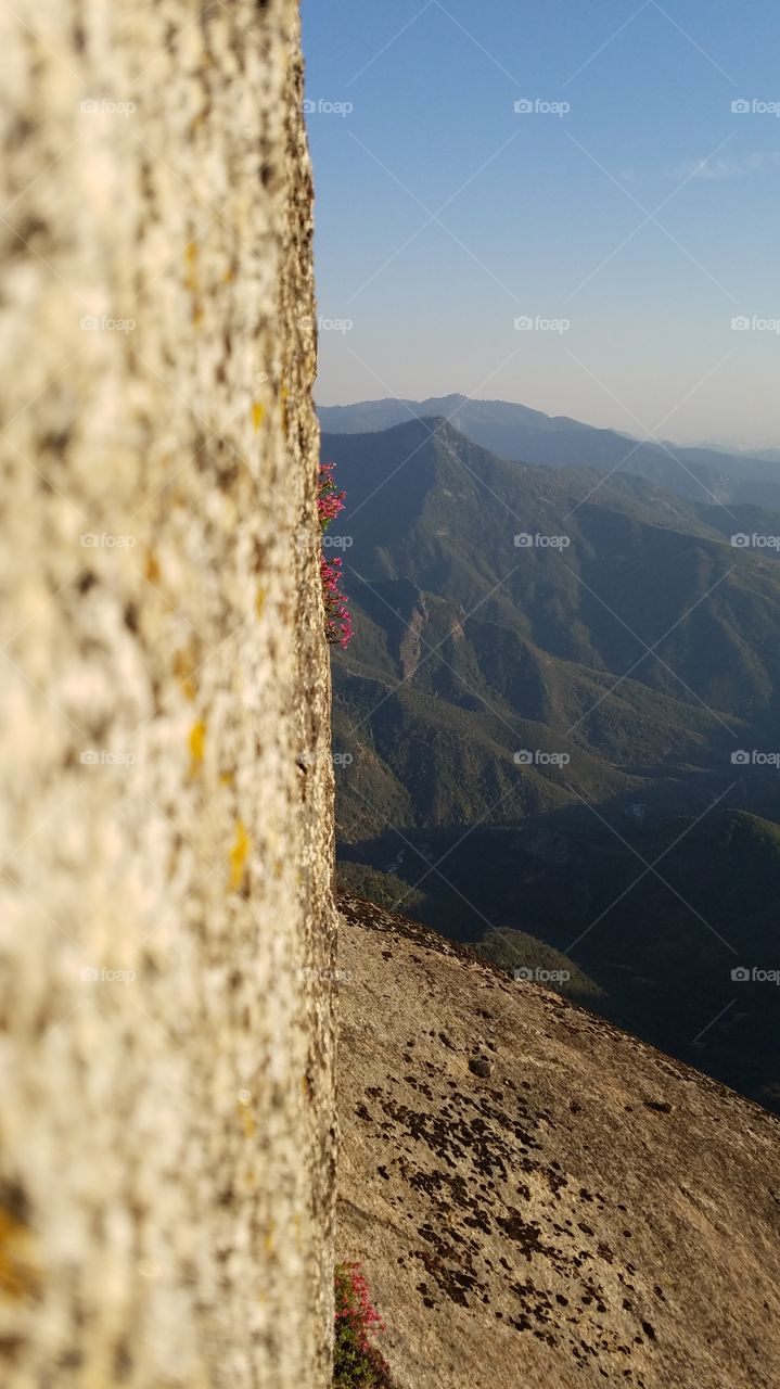 Perspective is Everything