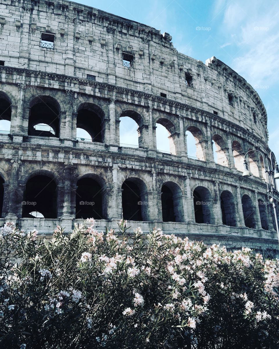 Colosseum